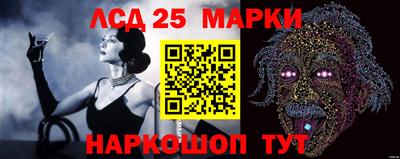 тгк Славгород