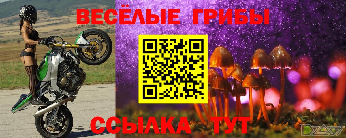 Псилоцибиновые грибы GOLDEN TEACHER  Псилоцибиновые грибы мухоморы  цена   Вход с VPN  Архангельск 